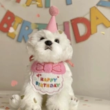 Нагрудник, шапка, слюнявчик, милый шарф, аксессуар для волос, наряжаться