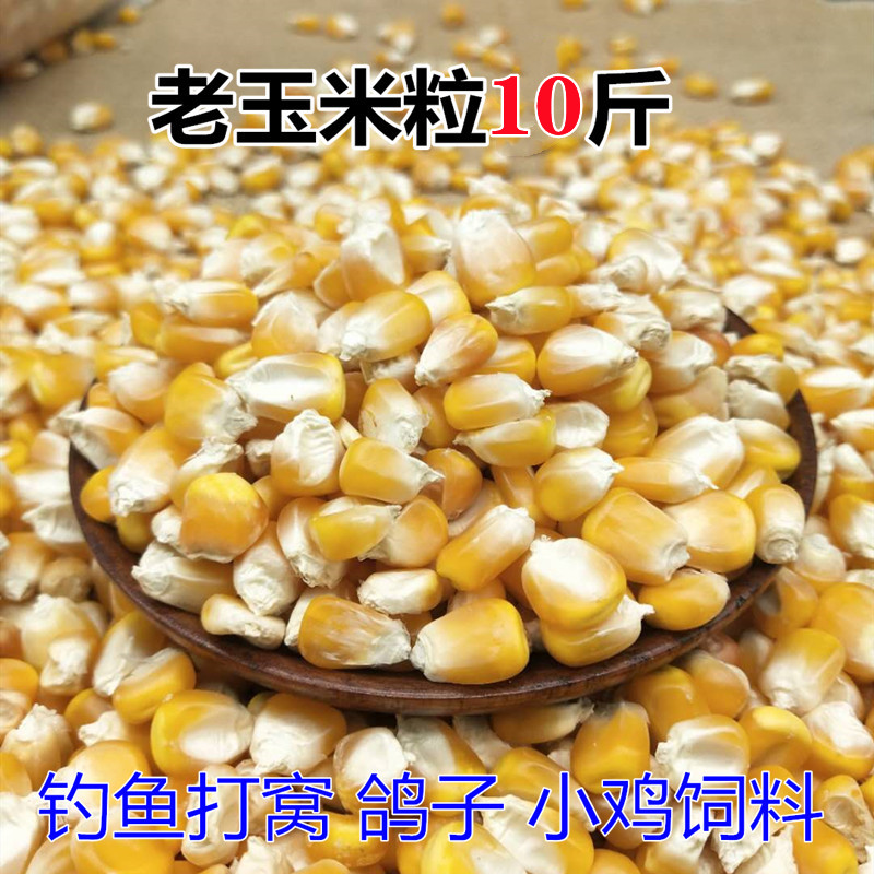 Farm Dry Corn Grain Pigeon Chicken Duck Goose Hamster Pet Feed Phishing for Nest Corn Kernels 5000g