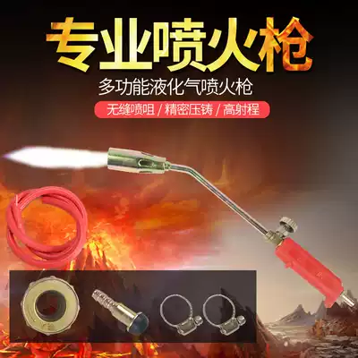 Special price LPG fire gun head burning pig hair household high temperature welding gun blowtorch flamethrower gas liquefied gas small welding