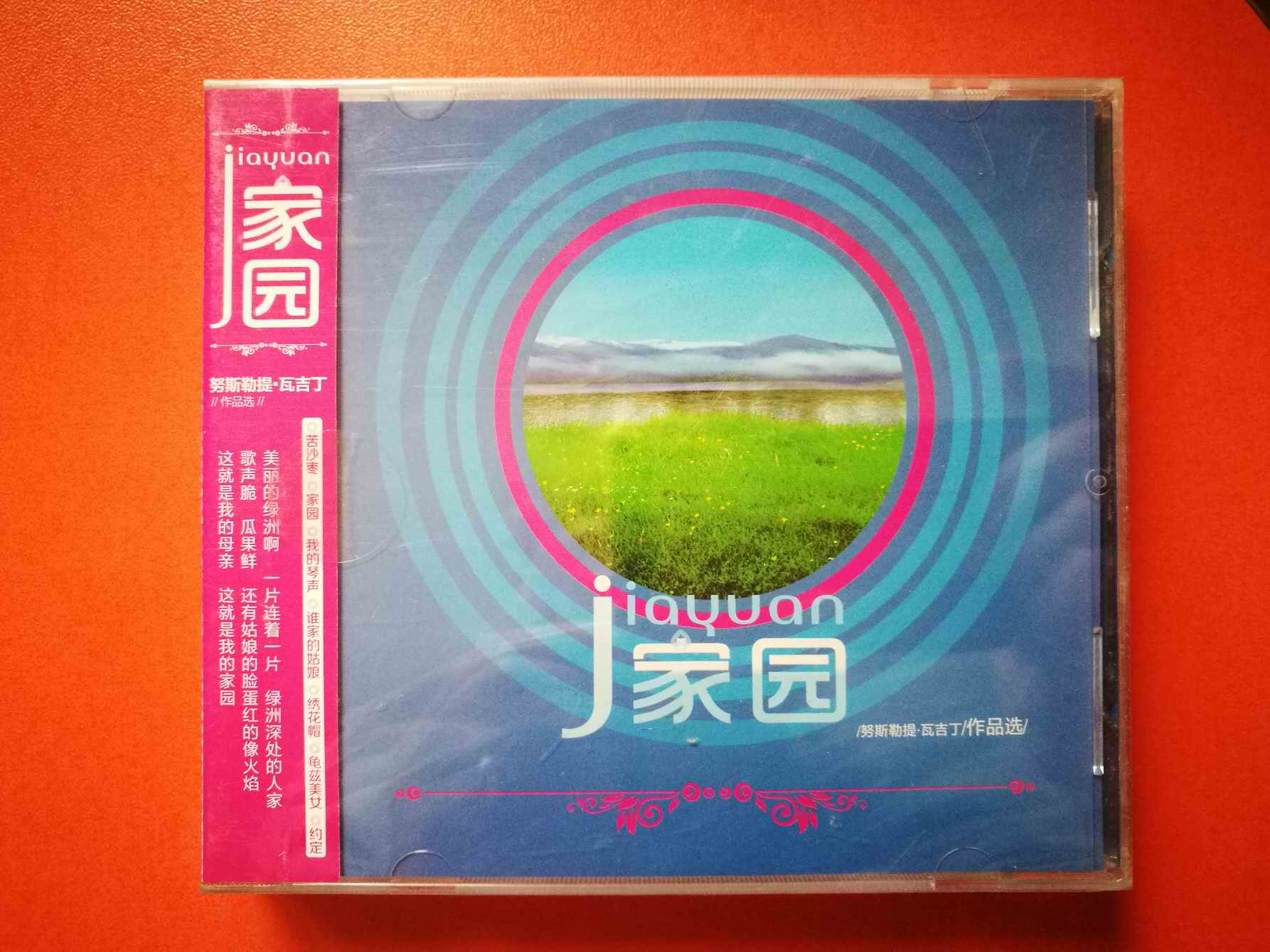 Xinjiang song Home Nusler Tiwa Giddin as a selection of stars extraterrestrial Star is completely new without unsealing CD 