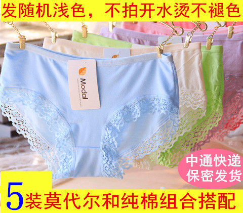 Slip jeunesse en coton - Ref 640182 Image 17