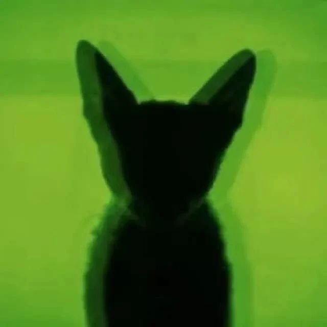 感性袜袜怪