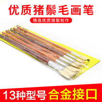 Examination fan-shaped pen bristles real hair fishtail pen oil brush watercolor pen gouache fan-shaped brush 12 sets