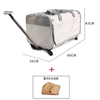 Хэтчбек с рисом серого цвета+холодное сиденье может быть разделено хэтчбеком