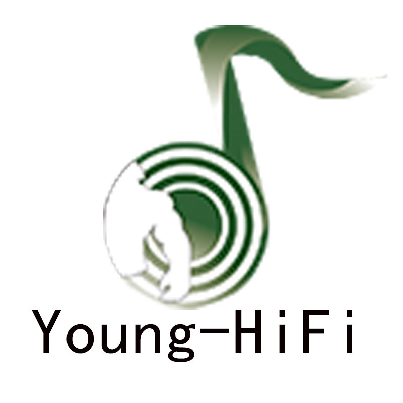 Young HiFi影音数码店