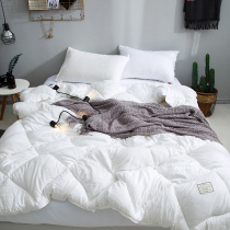 New Japanese-style washed cotton spring and autumn quilt winter quilt single double thickened warm winter quilt student bedroom quilt core