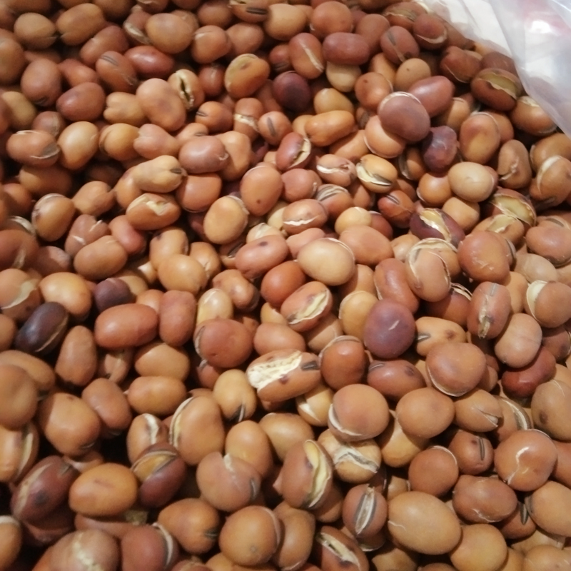 Hunan specialty iron pot fried peas farm fried broad beans 500g fried peas crispy and delicious