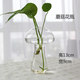 创意家居水培玻璃插花瓶透明花器桌面装饰品室内园艺办公桌摆件