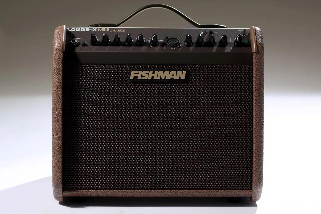 Ngư dân Fishman Loa phóng thanh Mini Charge Portable Bluetooth Box Guitar Loa Loa - Loa loa loa thanh lg