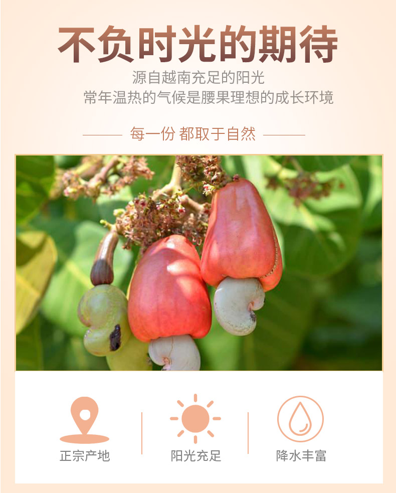 百分果 越南炭烧腰果仁 500g 图1