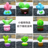 Yongsheng làm vườn đồ trang trí cây mọng nước mới đồ trang trí cây mọng nước - Trang trí nội thất dcor phòng ngủ chill