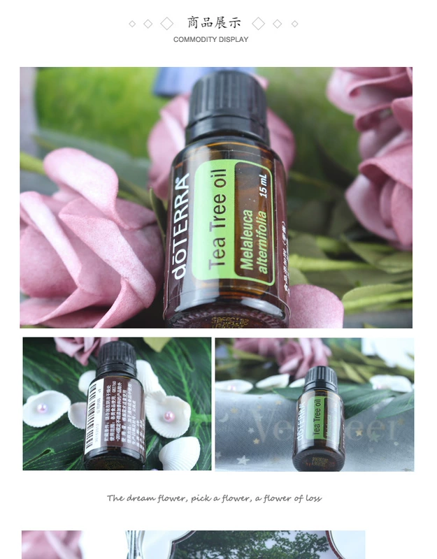 Cây trà doTERRA Dotray tinh dầu đơn 15ml khử trùng chống nhiễm trùng Trang web chính thức của Mỹ chính hãng - Tinh dầu điều trị