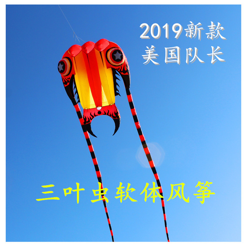 New Peculiar New American Captain's 7 Flat 16 Pine Trilobite Kite Large Software Kite 