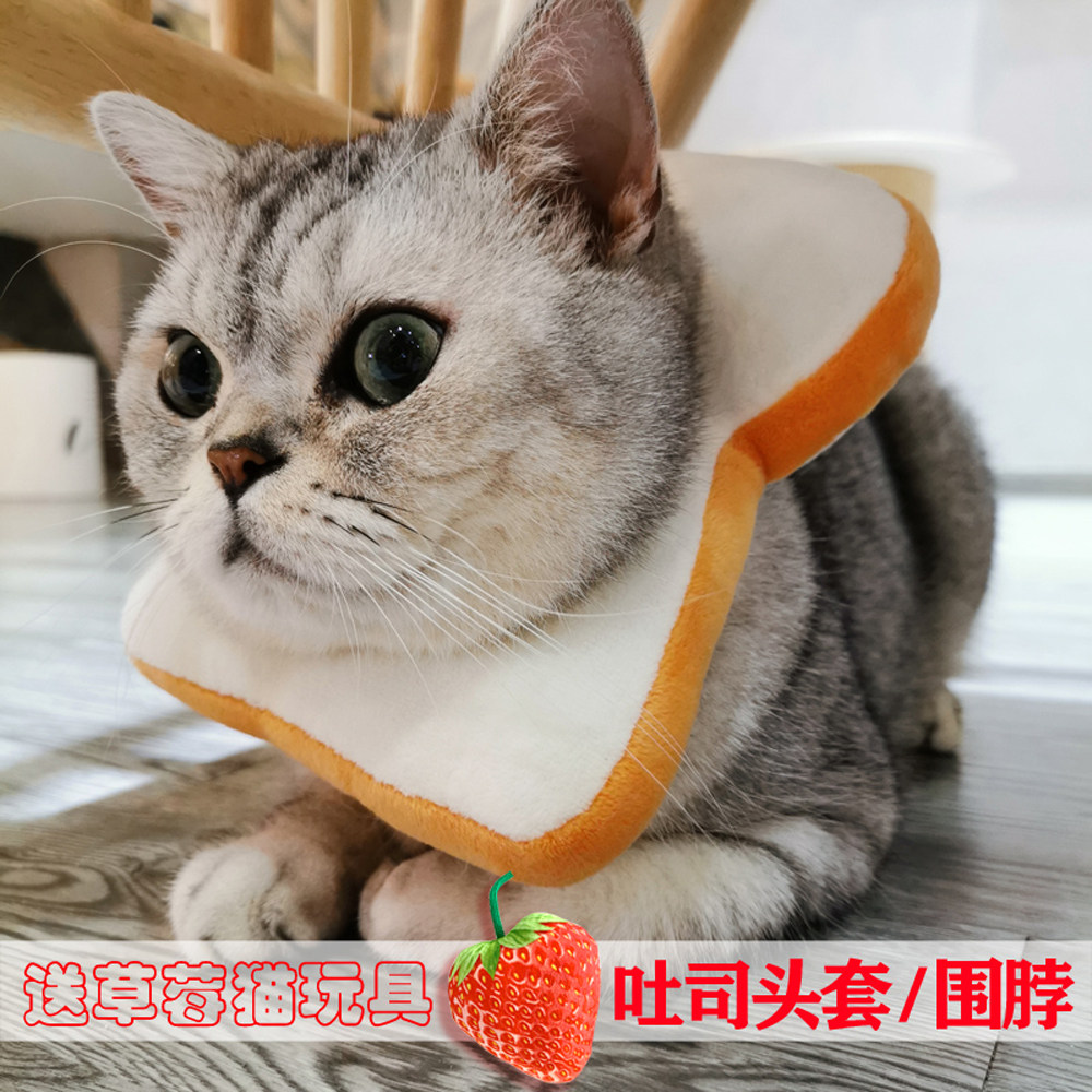 ins pets kitty kitty kitty toast bread headgear neuter collar Elizabeth anti licking neck neckline trinkets