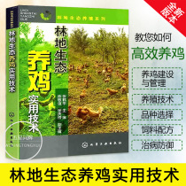 Genuine woodland ecological chicken practical technology chicken disease rapid diagnosis and treatment Daquan chicken ecological breeding practical technology books chicken ecological breeding books forest land ecological breeding series Woodland chicken farming technology