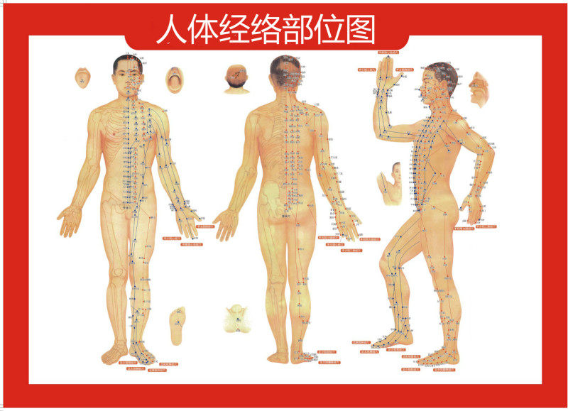 酸碱平dds生物电按摩器人体经络细胞修复美容养生电疗仪理疗