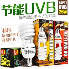 Насекомых рептилий в Ming медицинский 鍖呴偖reptiuvb5.0