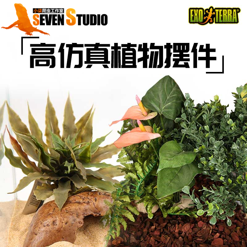 Reptile pet exo terra simulation plant landscaping decoration crawling pet breeding box fish tank landscaping decoration import
