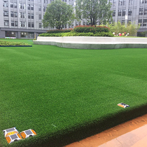 Simulation Lawn Carpet Artificial Fake Turf Artificial Turf Artificial Plastic Kindergarten Outdoor Football Field Fruit Laying Green Grass Mat
