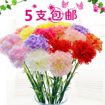 Artificial carnations fake flowers silk flowers Plastic flowers Living room coffee table decorative bouquet Wedding hand bouquet Mothers Day gift