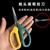 Special scissors for grapes vegetable and fruit scissors flower thinning citrus scissors orange scissors fruit picking pepper scissors
