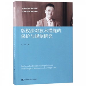 版权法对技术措施的保护与规制研究/王迁知识产权法研究系列