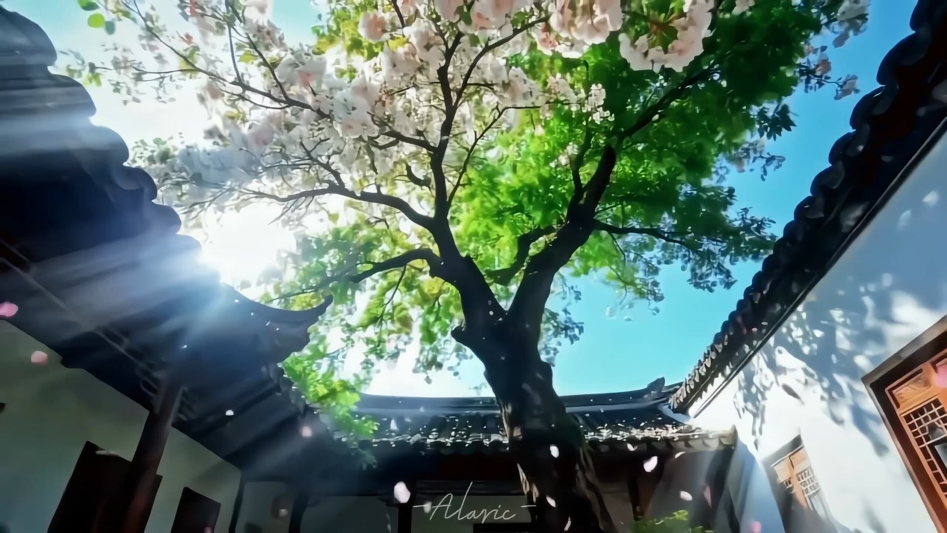 电脑壁纸 (39)