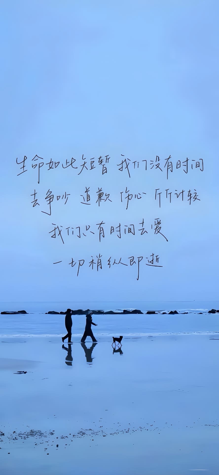 美女 (67)