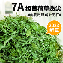 7A级苜蓿草干草纯叶全草叶含少量嫩枝烘干兔子龙猫荷兰猪粮食300g