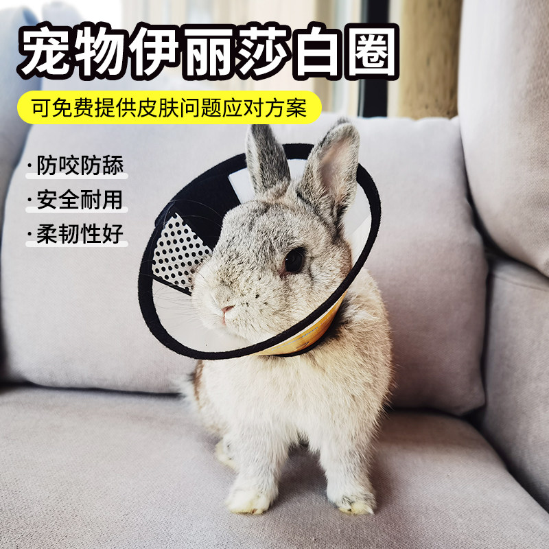 Rabbit Elizabeth Circle Pet anti-bite Item ring Long cat guinea pig Anti-biting Neck Bush Sweetness Ring Dermatosis