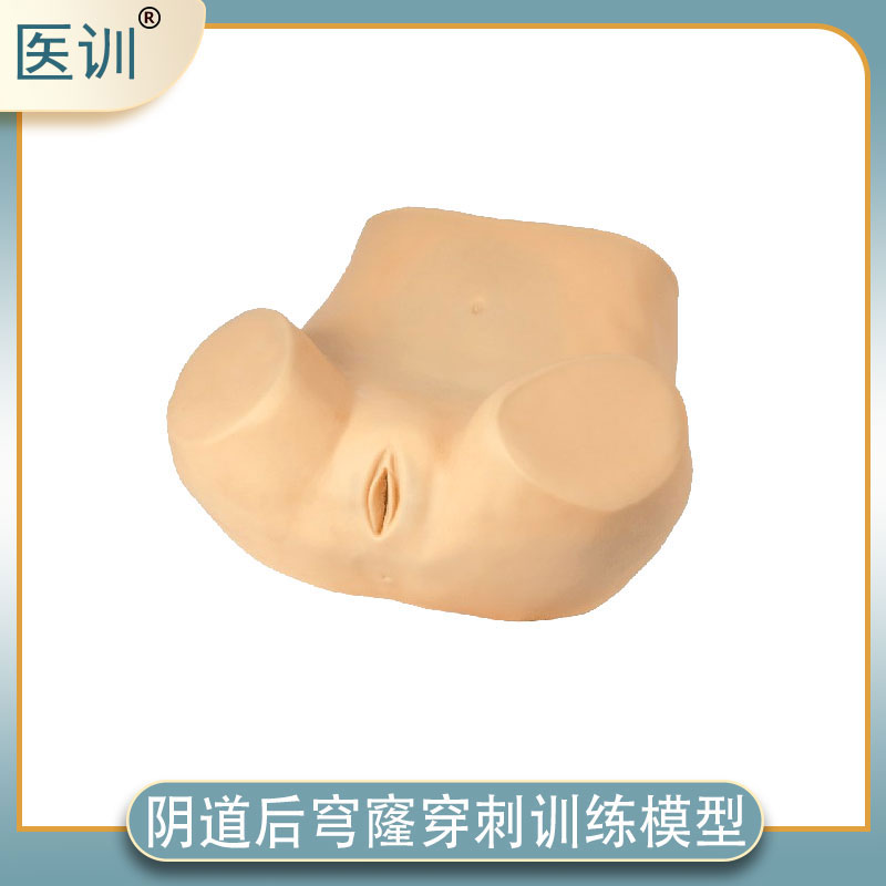 妇产科教学模型 医训品牌后穹窿穿刺训练器材 妇幼保健教学模具