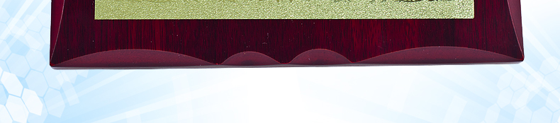 Робин Хан Бренд авторизован 3_05.jpg