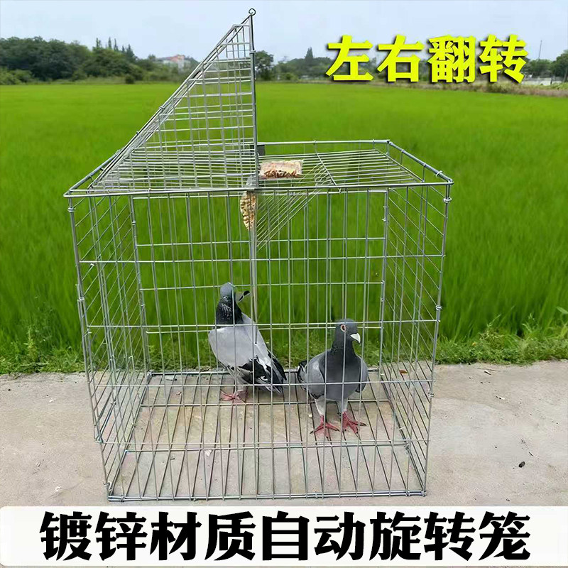 🔥 新款捕鸽神器 - 从此轻松养鸽 🦜-鸟笼-淘宝好物网