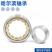 Cylindrical Roller Bearings N NU NJ204 205 206 207 208 209 210 211 212 213EM