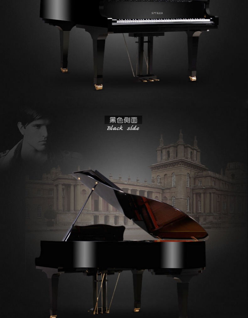 Đàn piano Spyker mới của Châu Âu thủ công thương mại đại học chuyên nghiệp trình độ chuyên nghiệp grand piano 186TG - dương cầm giá đàn piano điện