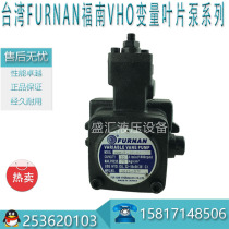 Taiwan FUNAN FURNAN VHO-F-15-A1-T9 VHO-F-15-A2-T9 Spline shaft vane pump