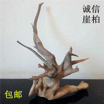 Taihang Cliff cypress Aging material Cliff cypress wool material Cliff Cypress boutique Cliff cypress root carving Tuo Tuo pieces Cliff Cypress log A