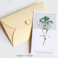 10 фотографий синей звезды+платиновой конверт 10