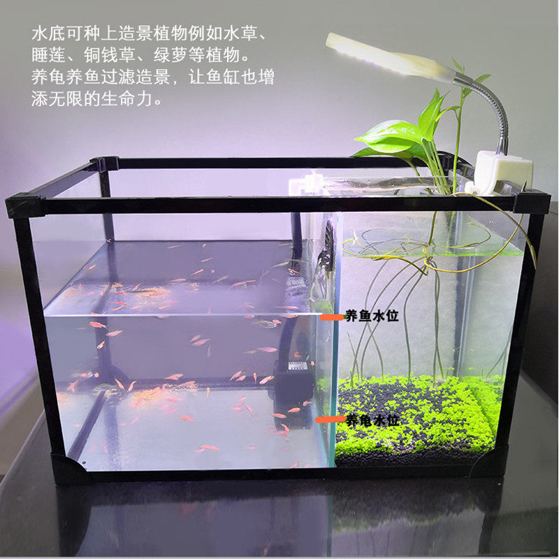 aquarium for fish and turtles
