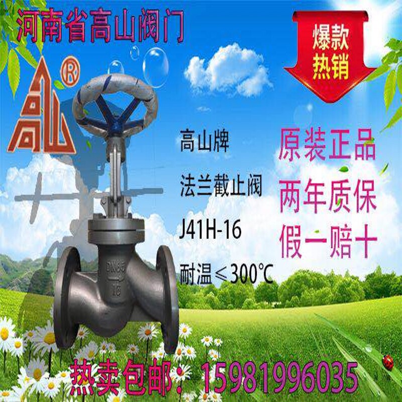 Takayama flange cut-off valve J41H-16Q 25Q high temperature steam ductile iron valve DN40 50