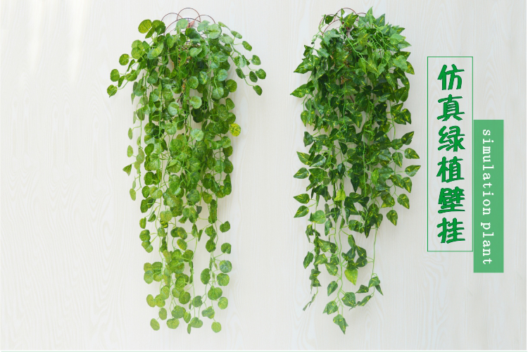Cây mây treo tường mô phỏng cây nho trang trí hoa cây xanh treo tường giỏ nho lá xanh lá cây hoa giả - Hoa nhân tạo / Cây / Trái cây hoa giả để bàn