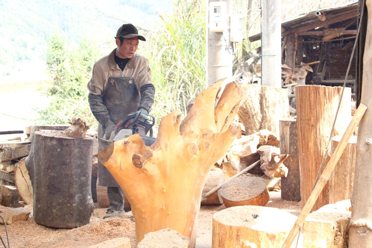 Gỗ rắn phân gỗ gỗ trụ nấm nấm phân cây gốc gỗ phân hoa đứng gốc khắc bàn cà phê với sân vườn trang trí bằng gỗ - Các món ăn khao khát gốc mẫu bàn ghế gốc cây đẹp