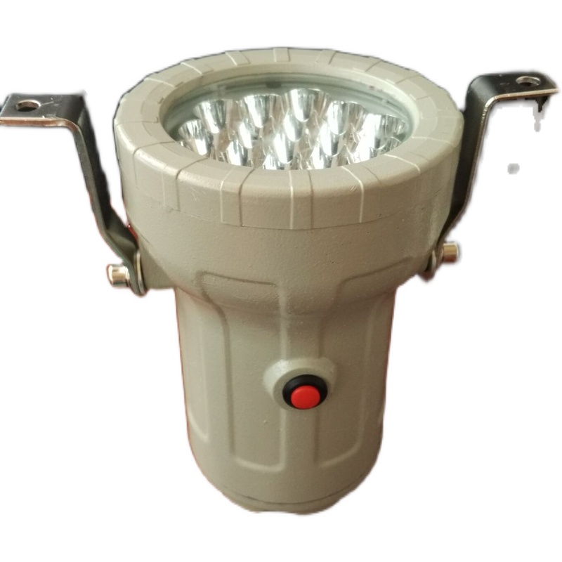 BSD96 explosion-proof hole light BAK51 explosion-proof mirror lamp LED36V 24V 5W reaction kettle Watch floodlight