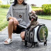 Pull Rod Cat Bag Pets Out Bag Cat Cage Portable Space Double Shoulder Cabin Dogs Go Out Backpacks Dress Kitty Bag