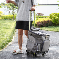 Pet Backpack Pooch Out Bag Breathable Cat Bag Out Portable Foldable Double Shoulder Bag Teddy Dog Bag Cat Backpack