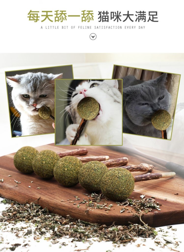 Catnip Lollipop Cat Toy Wood Scorpio Snacks Molar Stick Catnip Ball Funny Cat Stick 4 Pack - Đồ ăn nhẹ cho mèo cá hộp
