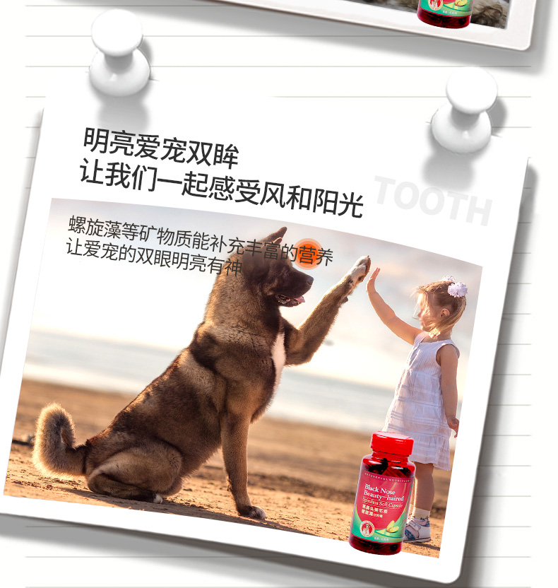 Pet Spirulina Soft Capsule Dog Teddy Bomei Cat với đôi mắt sáng Mũi đen Sản phẩm chăm sóc sắc đẹp sữa cho chó phốc sóc