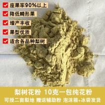 Pear tree pollen artificial pollination Upper pink crown pear snowflake late autumn gold pear duck pear clear scented pear fine powder pure pollen