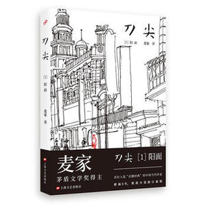 正版 刀尖1 阳面 麦家著 茅盾文学奖得主 8年真实再现 特工尘封七十年的传奇 一部真正的长篇谍战小说解密暗算风声
