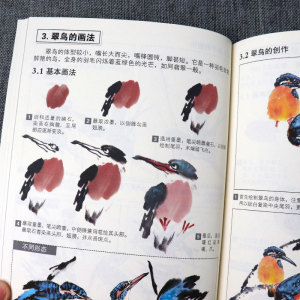 中老年人学国画入门教程 花鸟鱼虫 老年大学教材教程书籍 夕阳红国画入门基础 老年人零基础学画国画教程